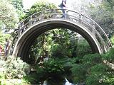 Golden Gate Park 18